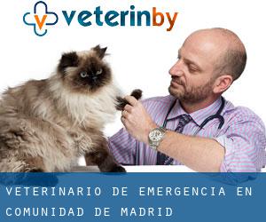 Veterinario de emergencia en Comunidad de Madrid