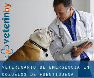 Veterinario de emergencia en Cozuelos de Fuentidueña