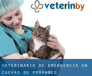 Veterinario de emergencia en Cuevas de Provanco