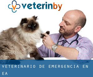 Veterinario de emergencia en Ea