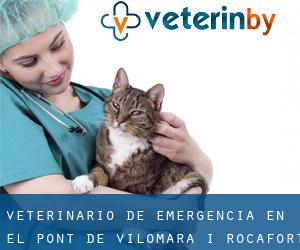 Veterinario de emergencia en el Pont de Vilomara i Rocafort