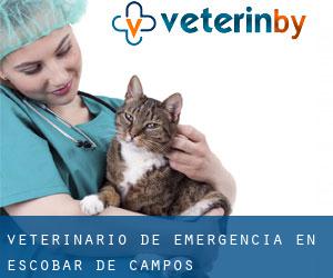Veterinario de emergencia en Escobar de Campos