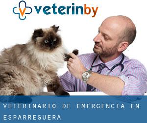 Veterinario de emergencia en Esparreguera