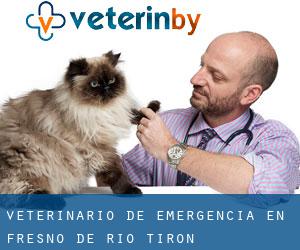 Veterinario de emergencia en Fresno de Río Tirón