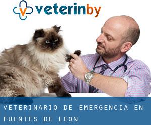 Veterinario de emergencia en Fuentes de León