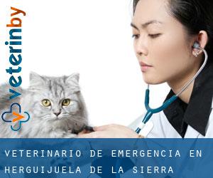 Veterinario de emergencia en Herguijuela de la Sierra