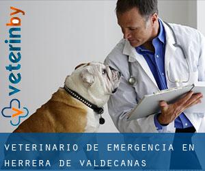 Veterinario de emergencia en Herrera de Valdecañas