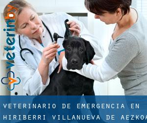 Veterinario de emergencia en Hiriberri / Villanueva de Aezkoa