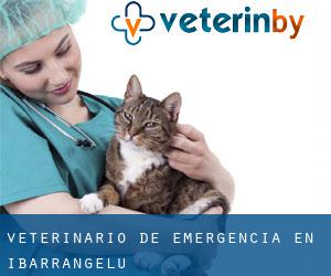 Veterinario de emergencia en Ibarrangelu