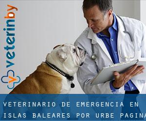 Veterinario de emergencia en Islas Baleares por urbe - página 1 (Provincia)