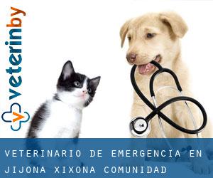 Veterinario de emergencia en Jijona / Xixona (Comunidad Valenciana)