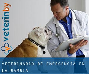 Veterinario de emergencia en La Rambla