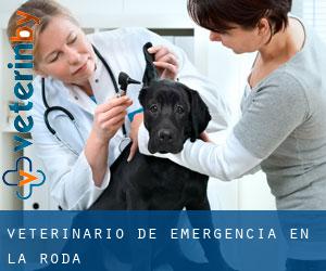 Veterinario de emergencia en La Roda