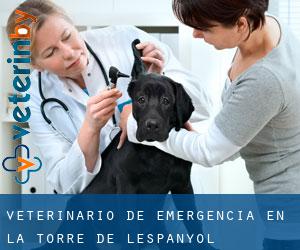 Veterinario de emergencia en la Torre de l'Espanyol