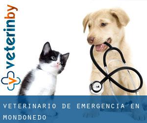 Veterinario de emergencia en Mondoñedo