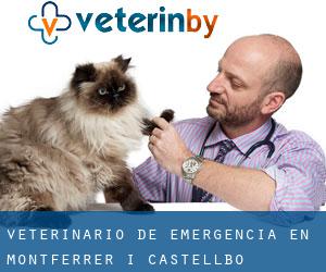 Veterinario de emergencia en Montferrer i Castellbò
