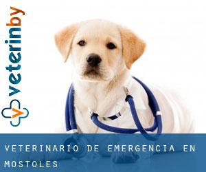 Veterinario de emergencia en Móstoles Veterinario de emergencia en Móstoles