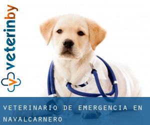 Veterinario de emergencia en Navalcarnero Veterinario de emergencia en Navalcarnero