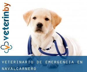 Veterinario de emergencia en Navalcarnero