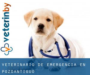Veterinario de emergencia en Pozoantiguo