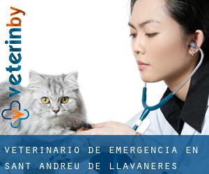 Veterinario de emergencia en Sant Andreu de Llavaneres