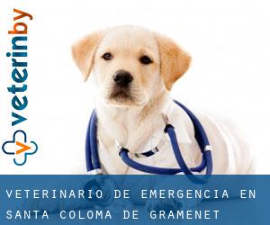 Veterinario de emergencia en Santa Coloma de Gramenet Veterinario de emergencia en Santa Coloma de Gramenet