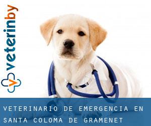 Veterinario de emergencia en Santa Coloma de Gramenet