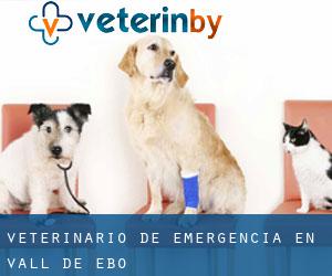 Veterinario de emergencia en Vall de Ebo