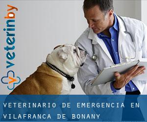 Veterinario de emergencia en Vilafranca de Bonany