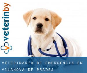 Veterinario de emergencia en Vilanova de Prades