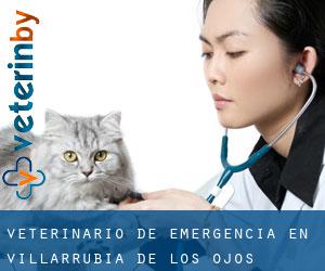 Veterinario de emergencia en Villarrubia de los Ojos