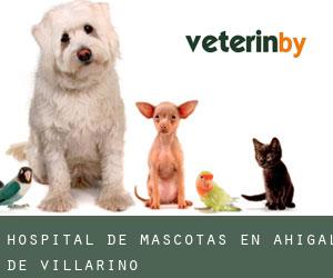 Hospital de mascotas en Ahigal de Villarino