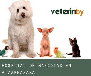 Hospital de mascotas en Aizarnazabal