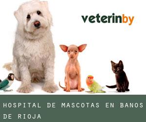 Hospital de mascotas en Baños de Rioja