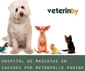 Hospital de mascotas en Cáceres por metropolis - página 3