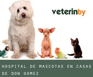 Hospital de mascotas en Casas de Don Gómez