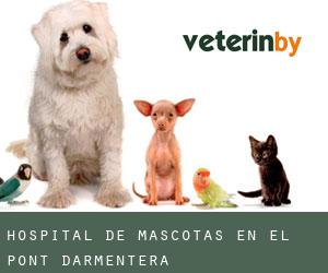 Hospital de mascotas en el Pont d'Armentera
