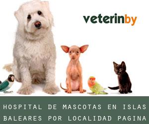 Hospital de mascotas en Islas Baleares por localidad - página 1 (Provincia)