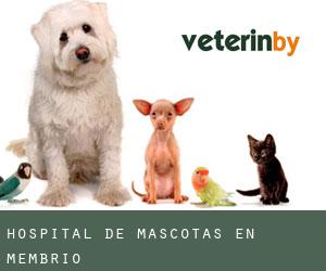 Hospital de mascotas en Membrío
