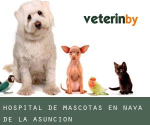 Hospital de mascotas en Nava de la Asunción