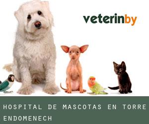 Hospital de mascotas en Torre Endoménech
