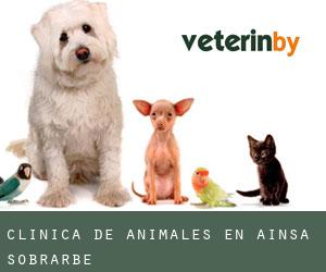 Clínica de animales en Aínsa-Sobrarbe Clínica de animales en Aínsa-Sobrarbe