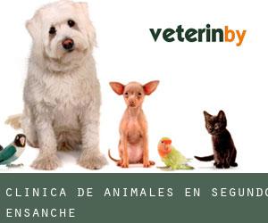 Clínica de animales en Segundo Ensanche