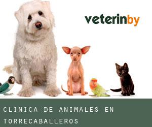 Clínica de animales en Torrecaballeros