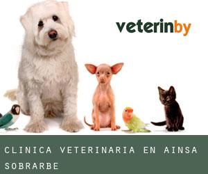 Clínica veterinaria en Aínsa-Sobrarbe