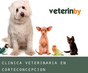 Clínica veterinaria en Corteconcepción