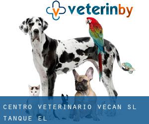 Centro Veterinario Vecan S.L. (Tanque (El))