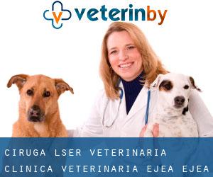 CIRUGÍA LÁSER VETERINARIA, CLINICA VETERINARIA EJEA (Ejea de los Caballeros)