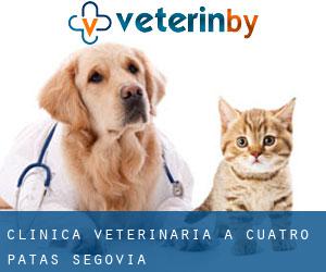 CLINICA VETERINARIA A CUATRO PATAS (Segovia)