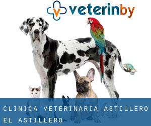 CLINICA VETERINARIA ASTILLERO (El Astillero)
